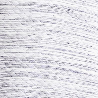White Navy