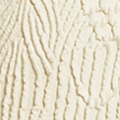 Birch