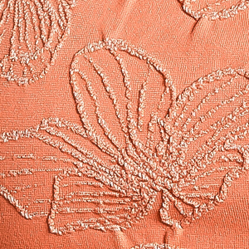 Coral