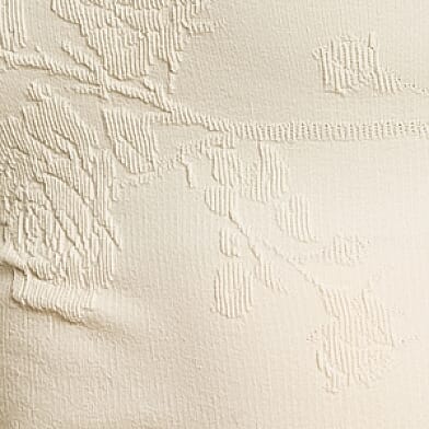 Birch