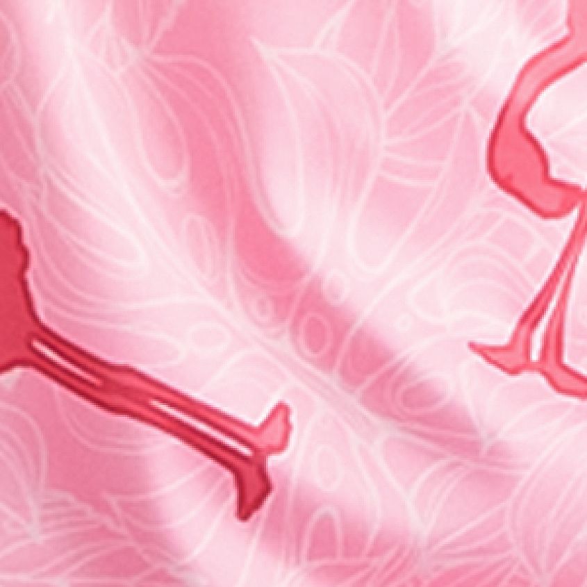 Pink Flamingo