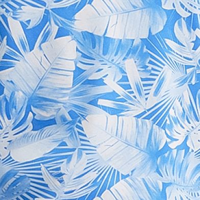 Blue White