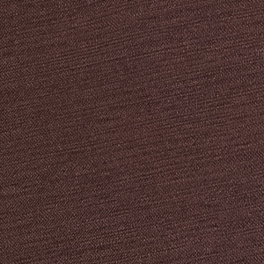 Chocolate Plum