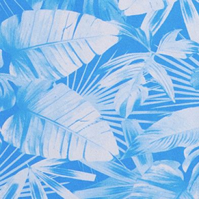 Blue White