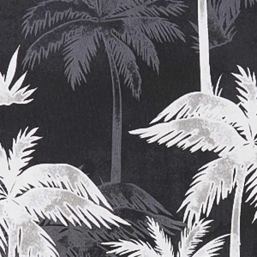 Black White Palm