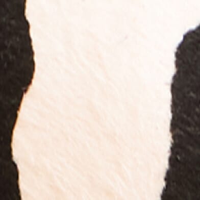 Cow Print