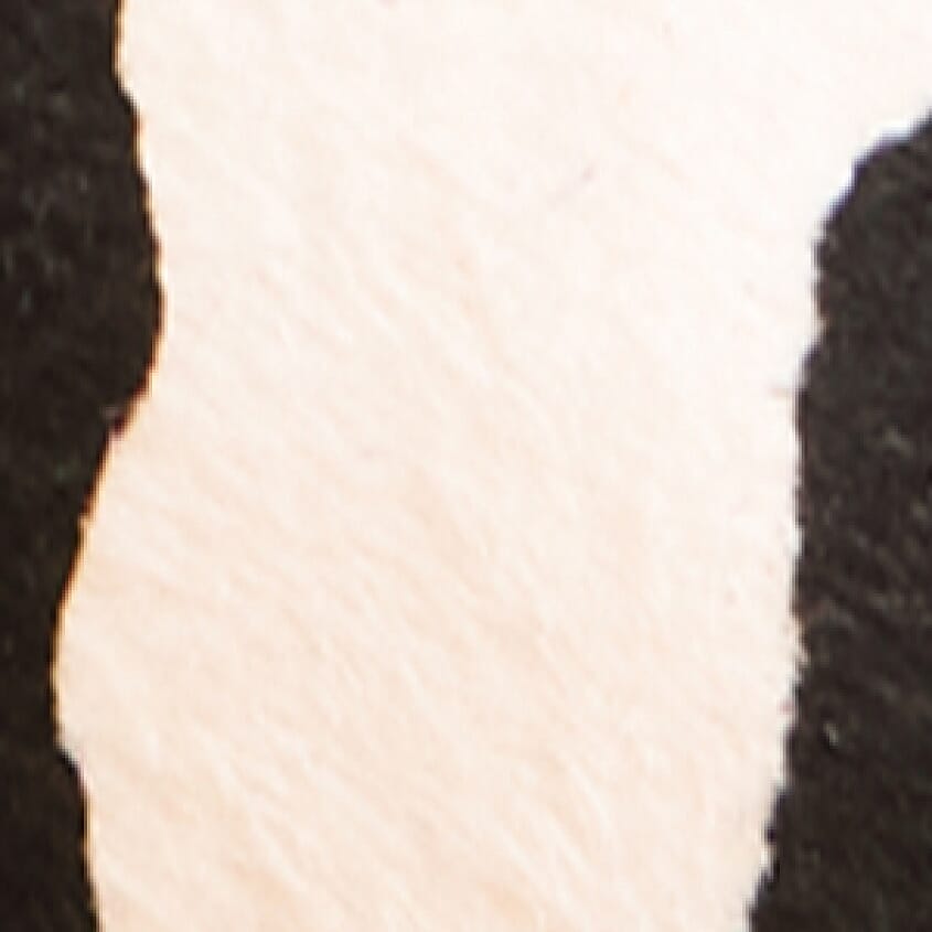 Cow Print