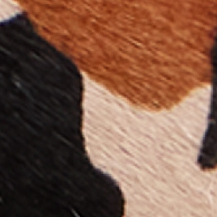 Cow Print