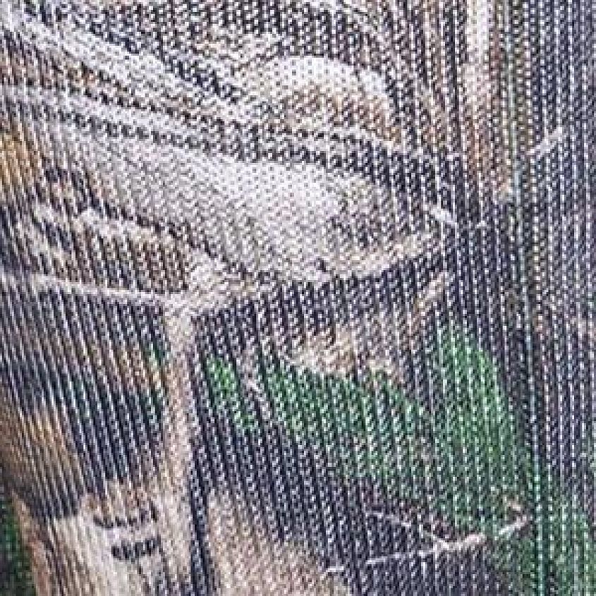 Camo
