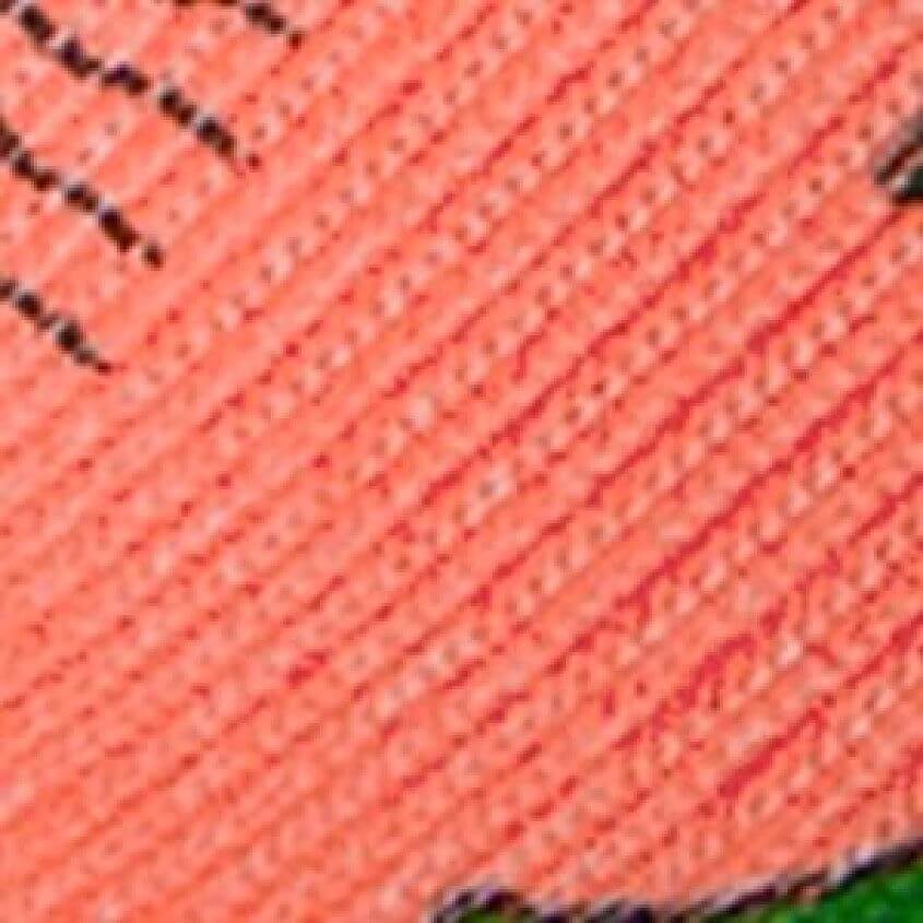 Melon