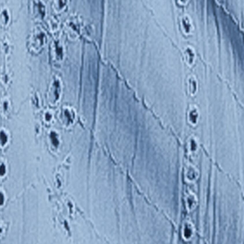 Elemental Blue