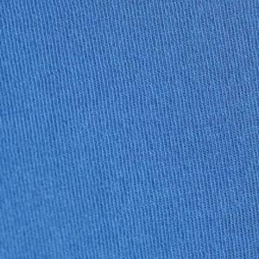 Indigo Bunting