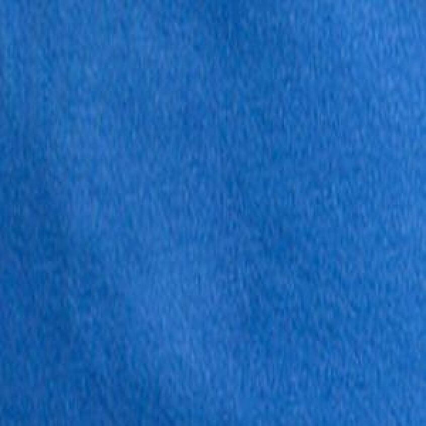 Indigo Bunting