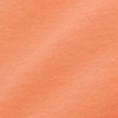 Melon