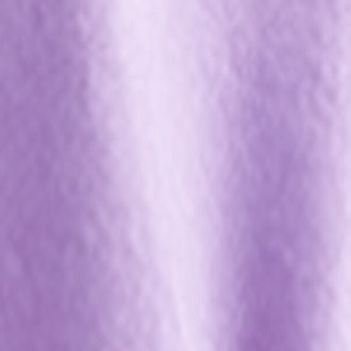 Aster Purple