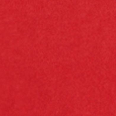 Equestrian Red