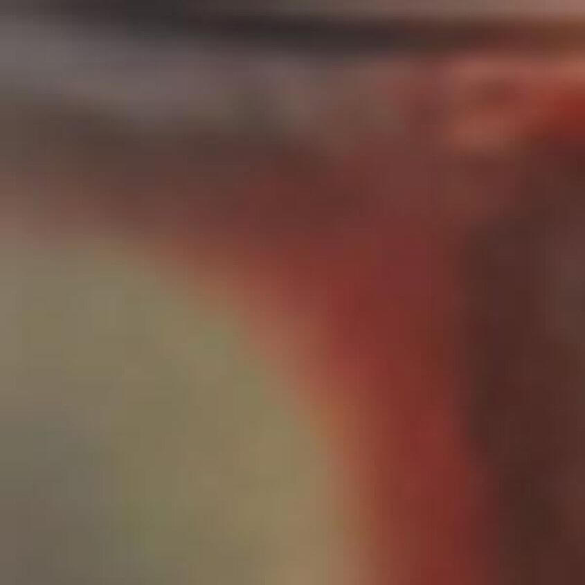 Tortoise