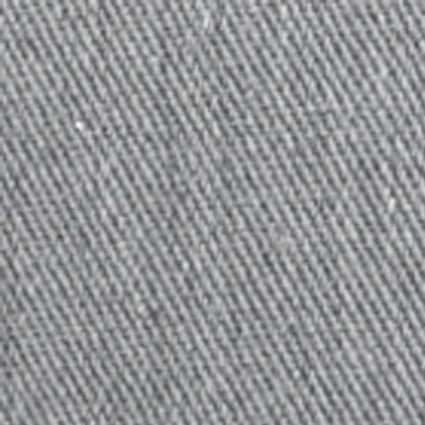 Wolf Grey