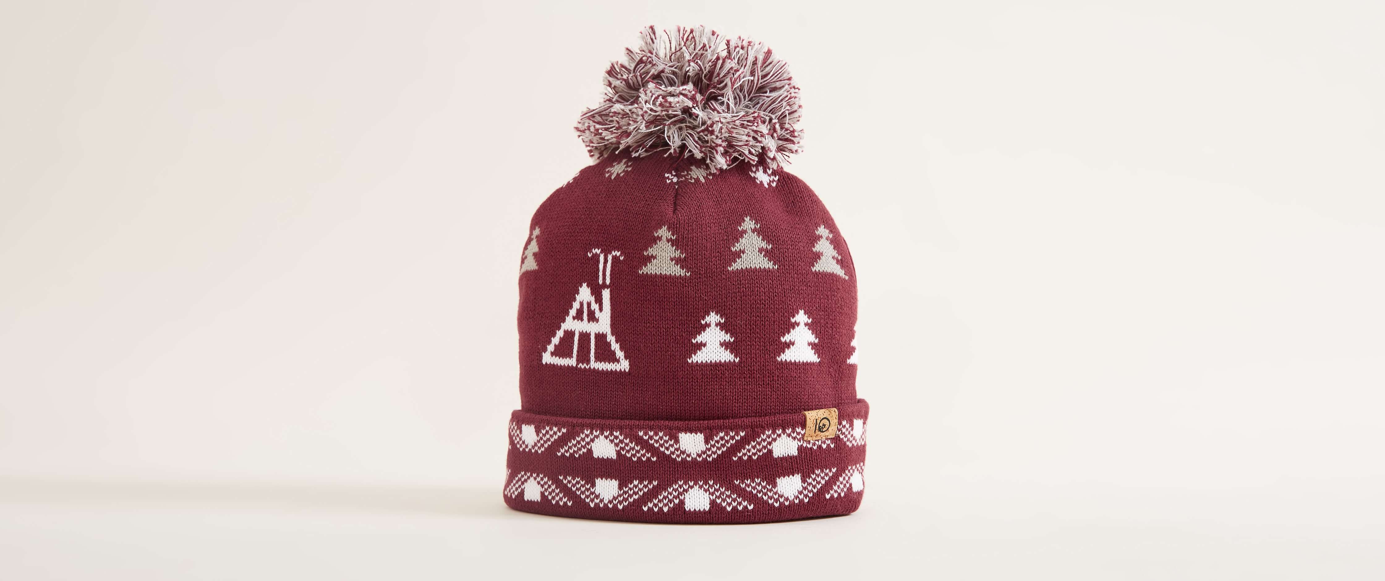 Image of tentree Mountainside Beanie