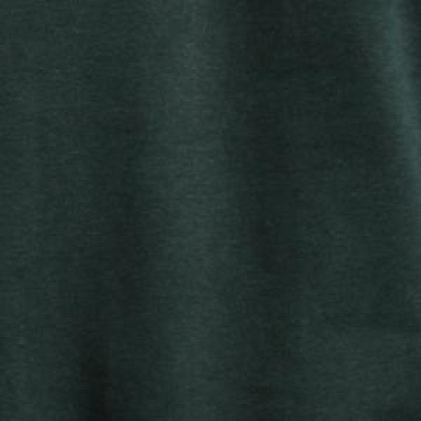 Dark Forest Green