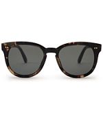 TOMS Dodoma 201 Sunglasses - Women display picture 3