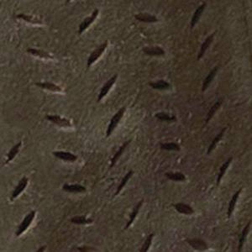 Forest Suede Perforated
