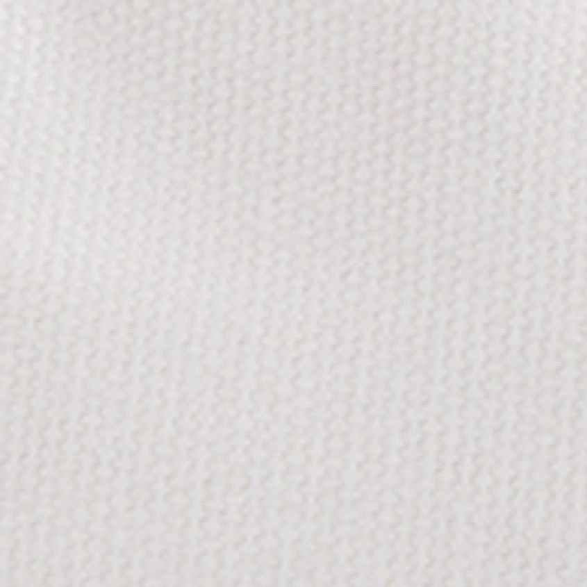 White Canvas