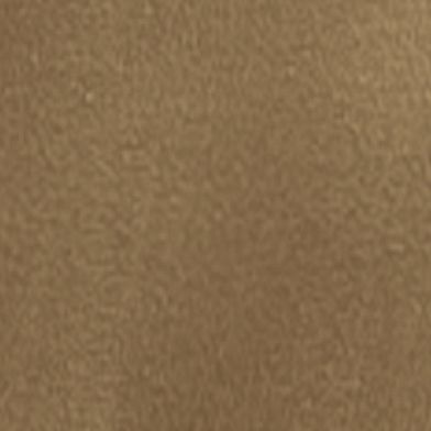Prairie Dust
