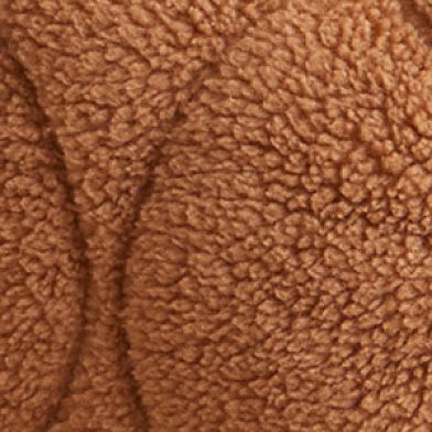 Brown Teddy