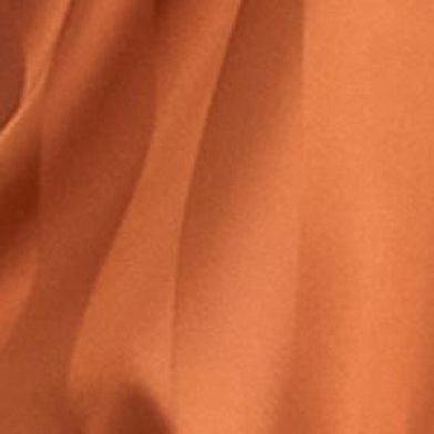Amber Brown