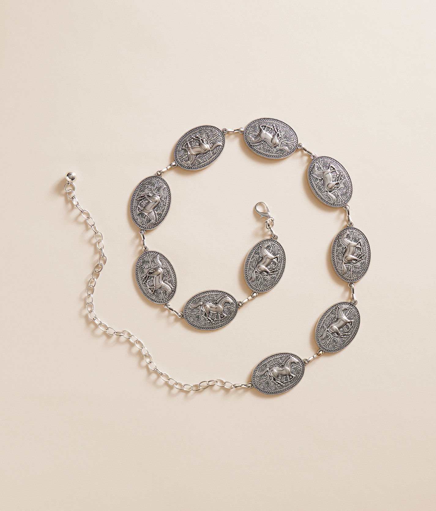 Silver Chain Belt Circles & Horse Bit Western Boho Vintage Silver Chain Horse Bit Belt | Retro Slinky Silver  main image 2