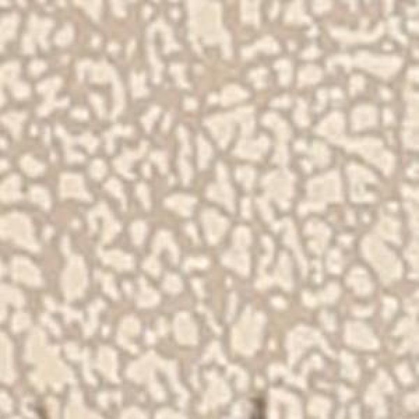 Gold Taupe