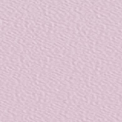 Violet Orchid