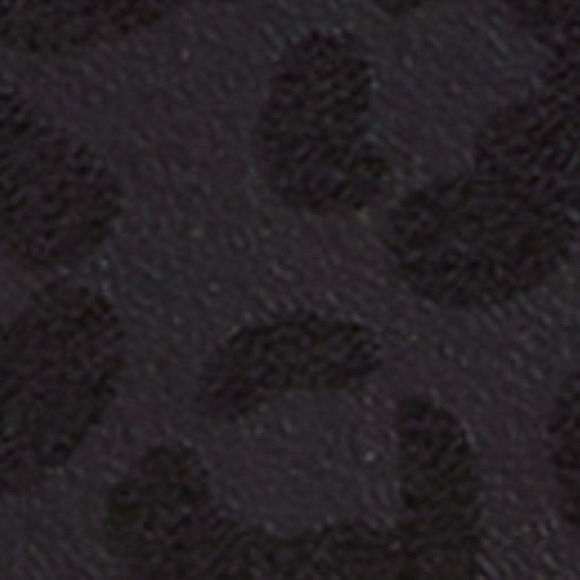Onyx Leopard