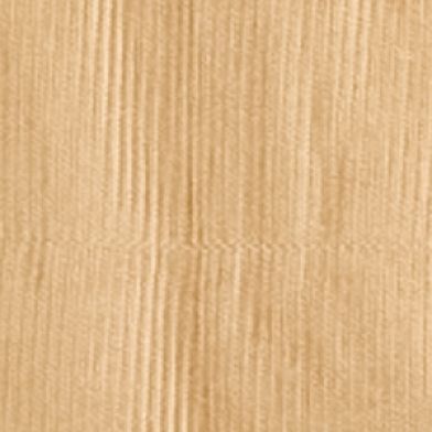 Dry Brush