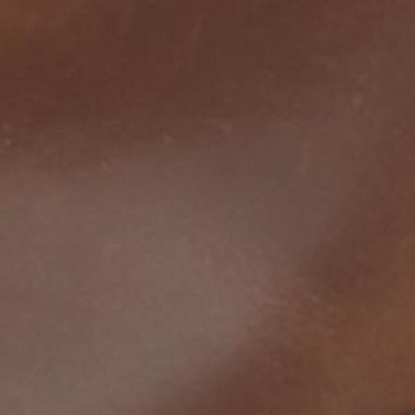 Dark Chestnut