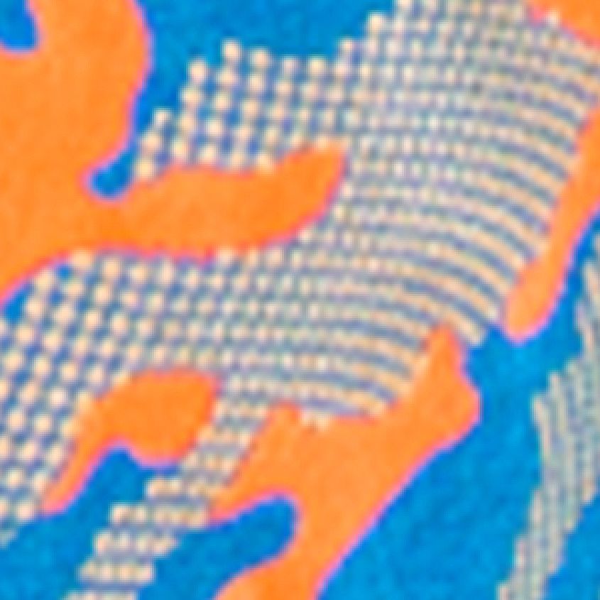 Photon Blue Wild Orange
