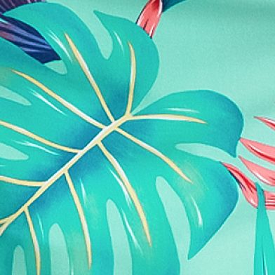 Tropical Mist