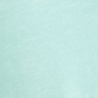 Teal Tint Aurora Green