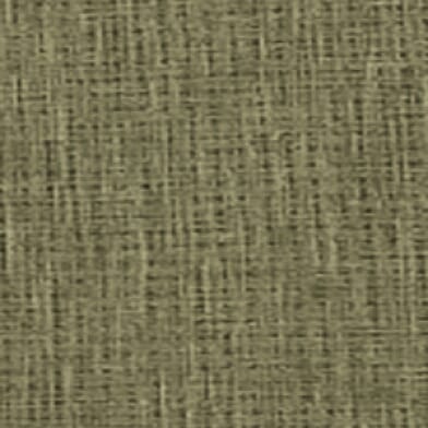 Charcoal Fern