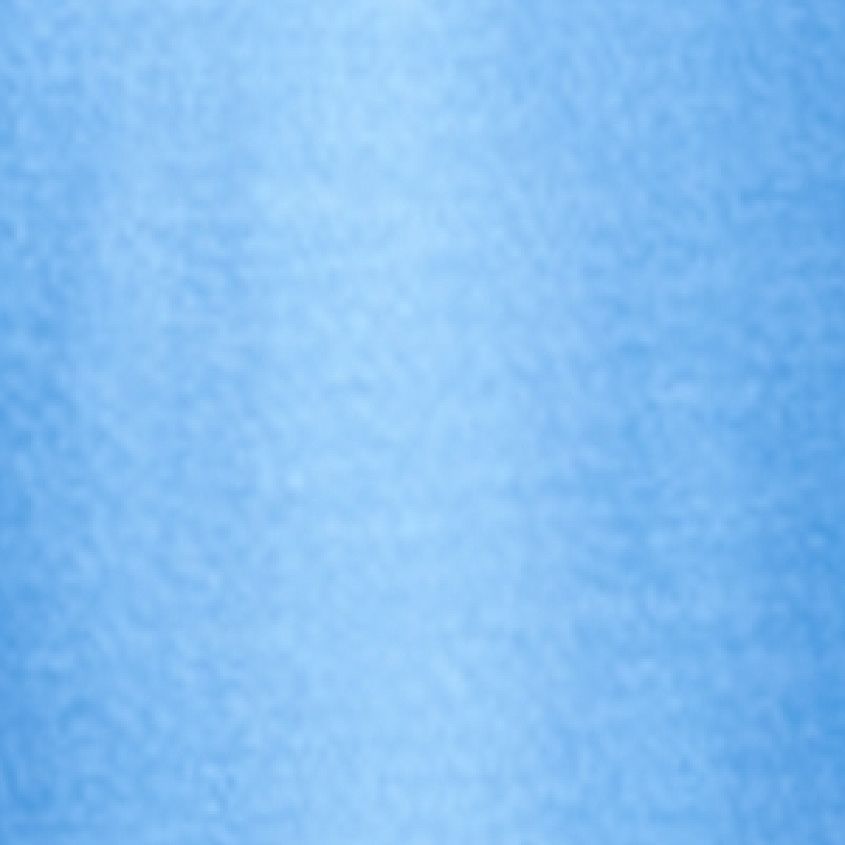 Bliss Blue Heather