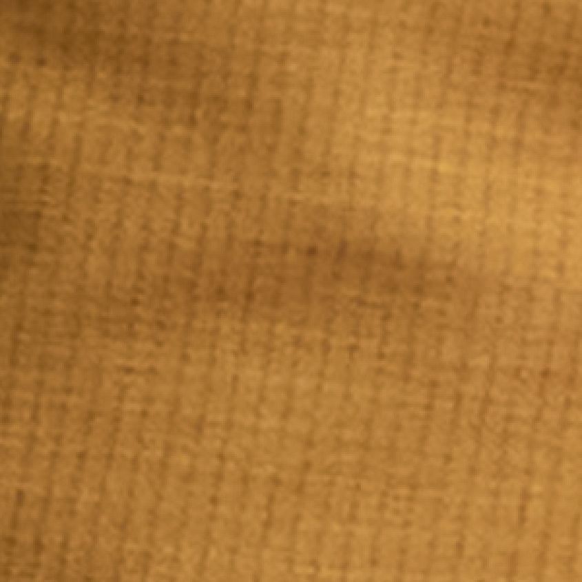 Golden Doodle
