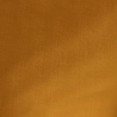 Golden Doodle