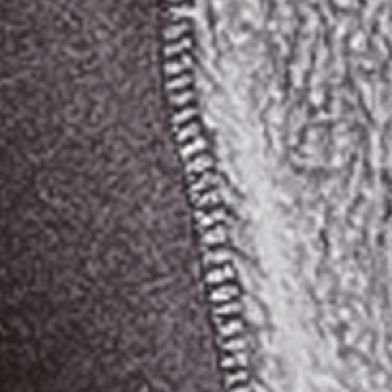 Charcoal