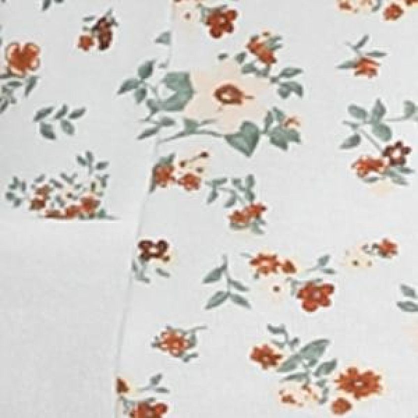 Disty Print