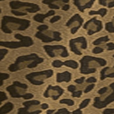 Cheetah Black