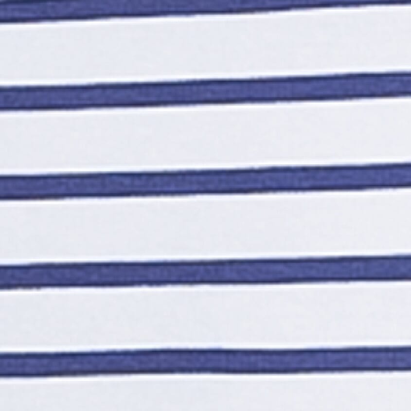 Blue Indigo