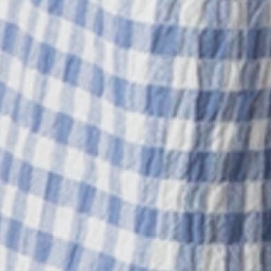 Blue Gingham