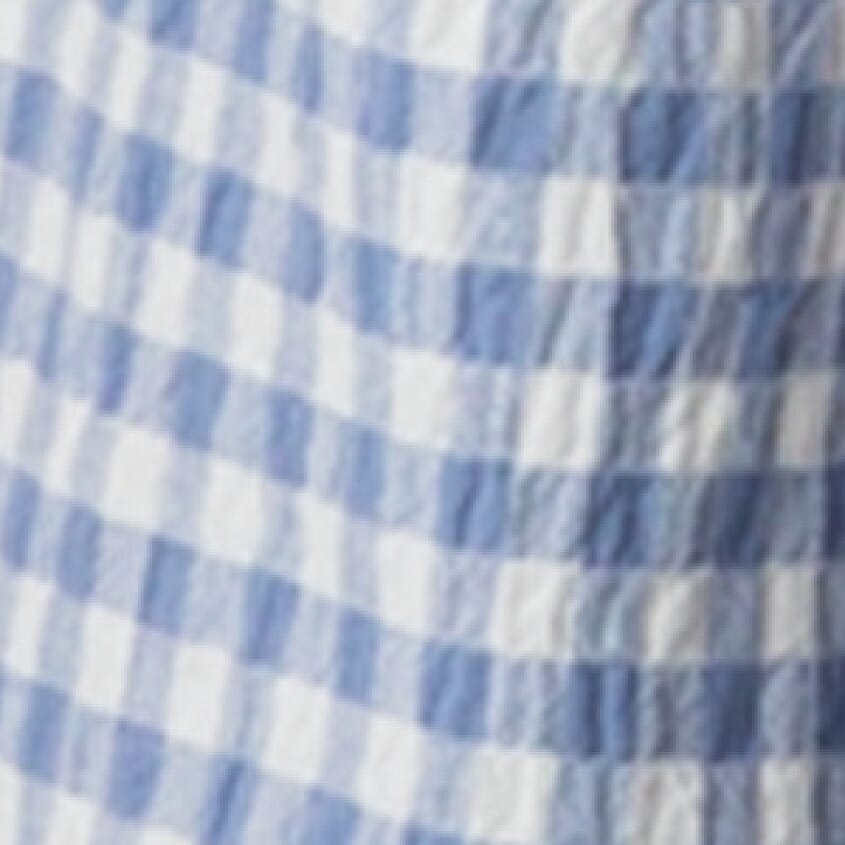 Blue Gingham