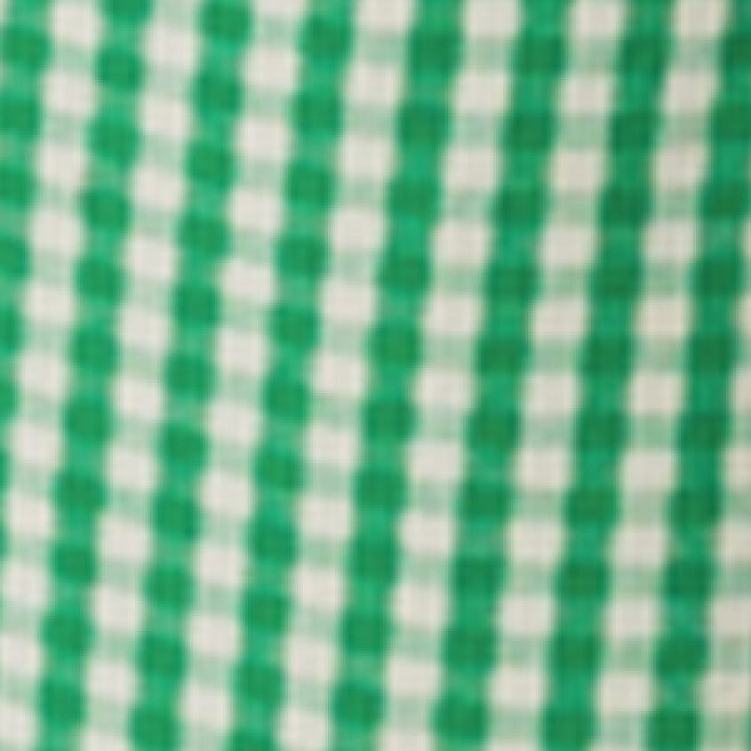 33 Coastal Gingham Wide Leg Utility Pant - Women's Pants in